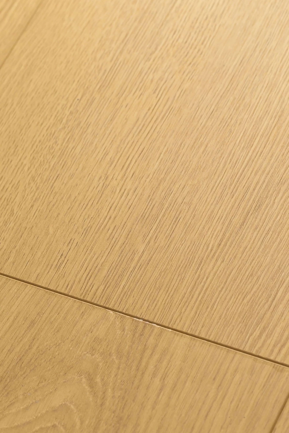 Дуб Гравитас | Gravitas oak 1F321