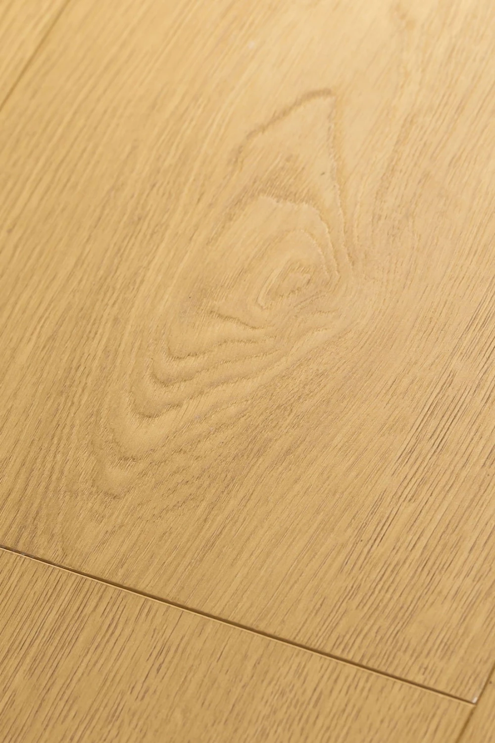 Дуб Гравитас | Gravitas oak 1F321