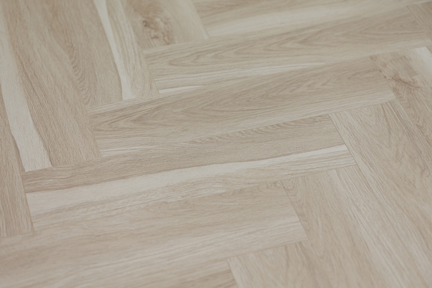ARM HV 80 Канадский клён Торонто