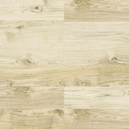 Oak Virginia White1