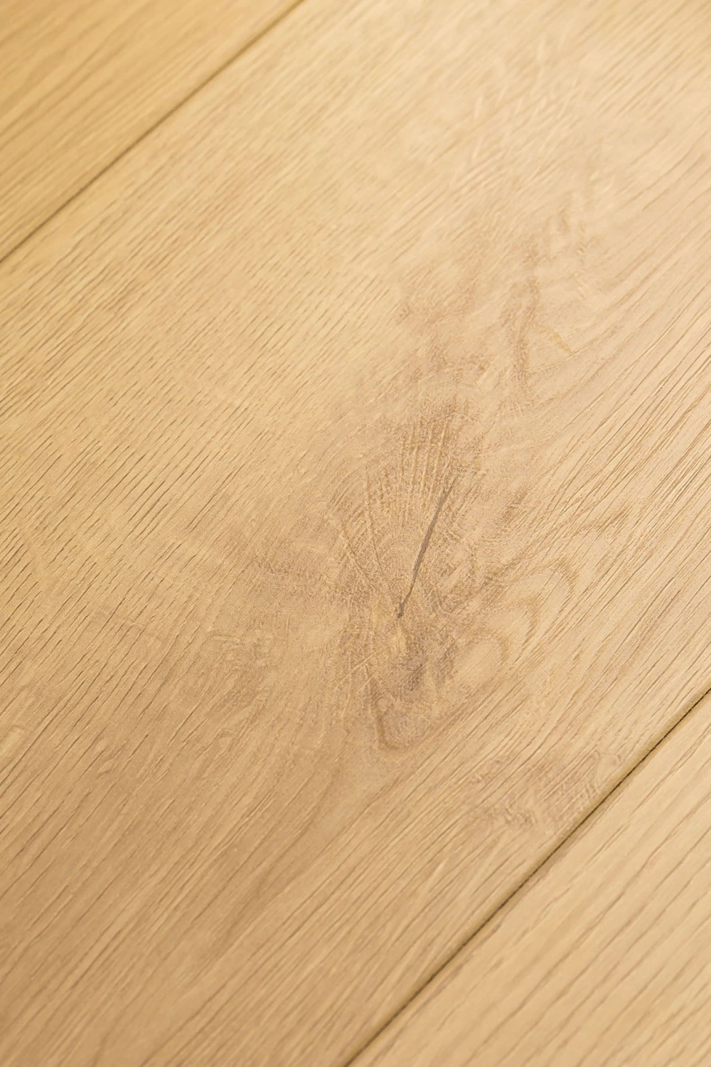 Дуб Атриум | Atrium oak 1F404