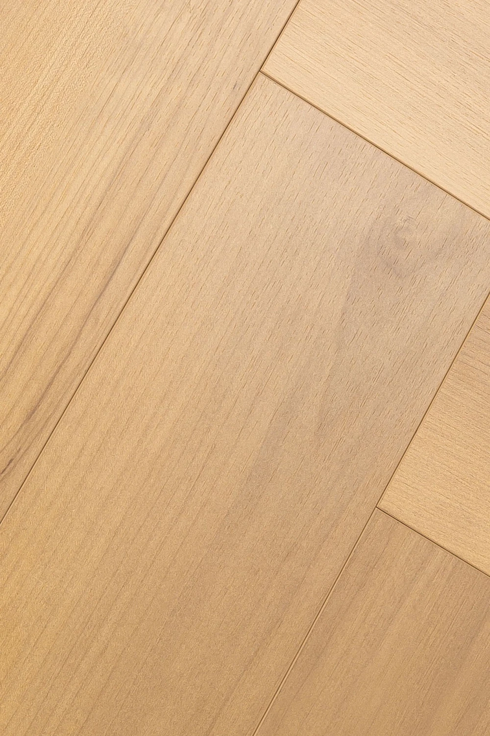 Дуб Ривьера | Rivera oak 1F411