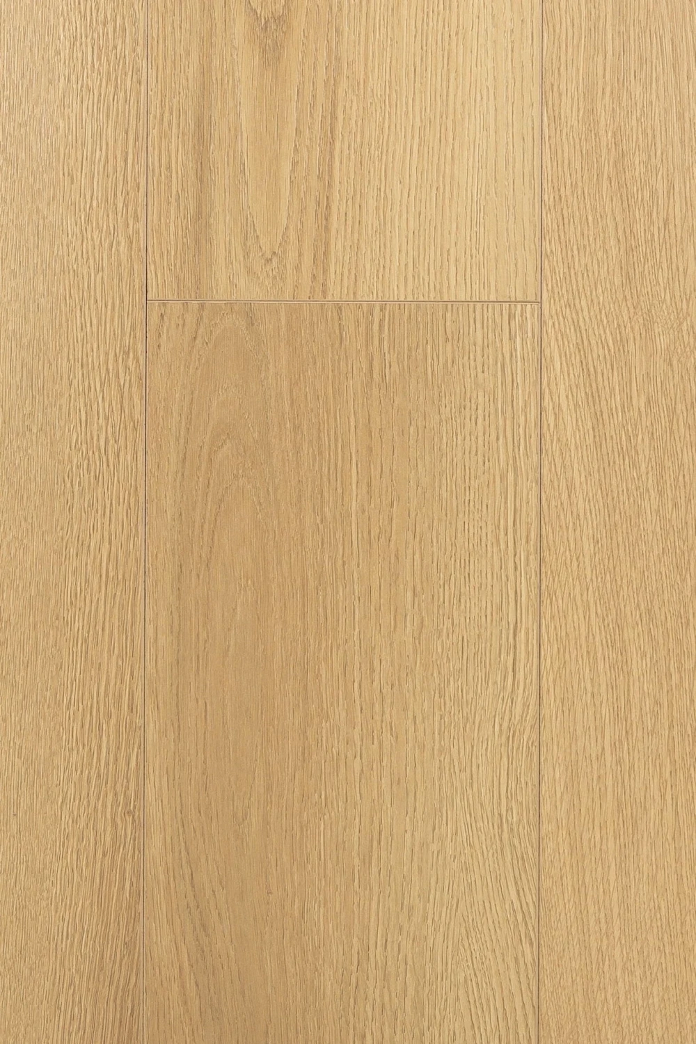 Дуб Церера | Cerera oak 1F416
