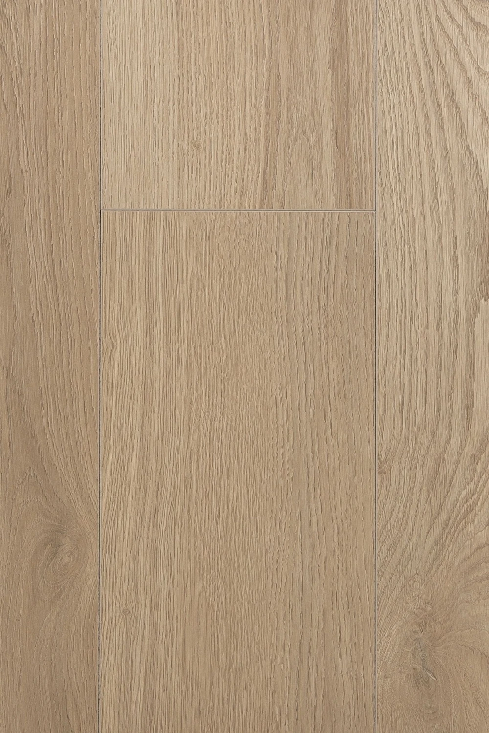 Дуб Грейс | Grace oak 1F414