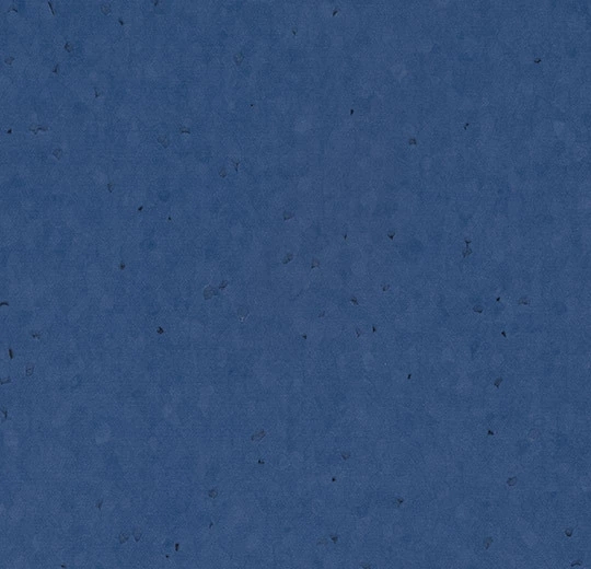 50269 electric blue